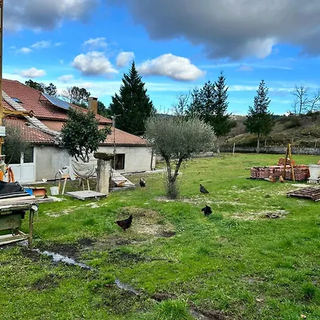 D Lina Local Bed & Breakfast